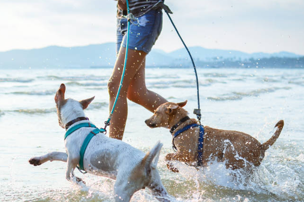 Beach Walk